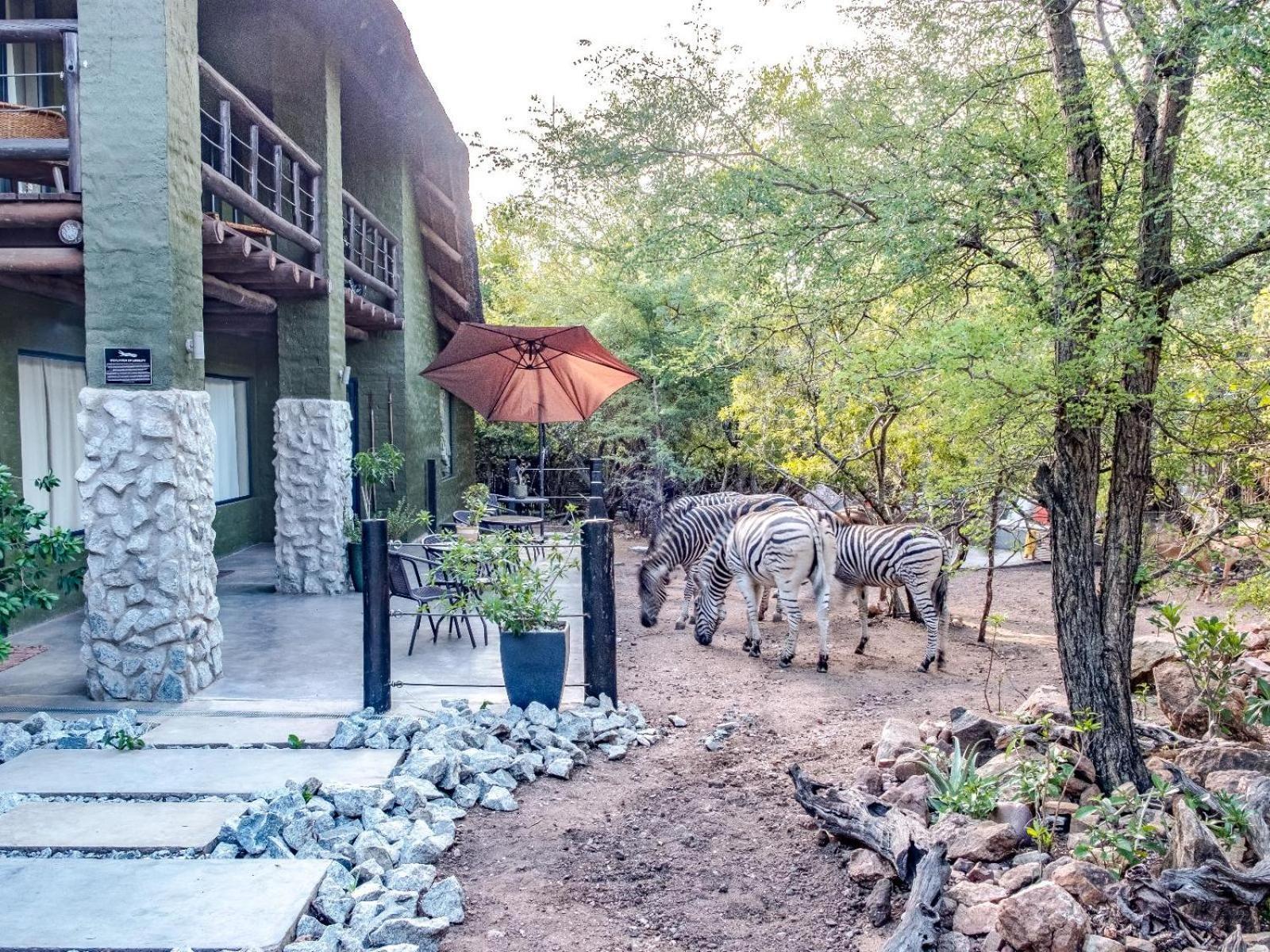 מרלות' פארק Croc Orvyll'S Kruger Lodge מראה חיצוני תמונה